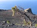 LaPalma (023)